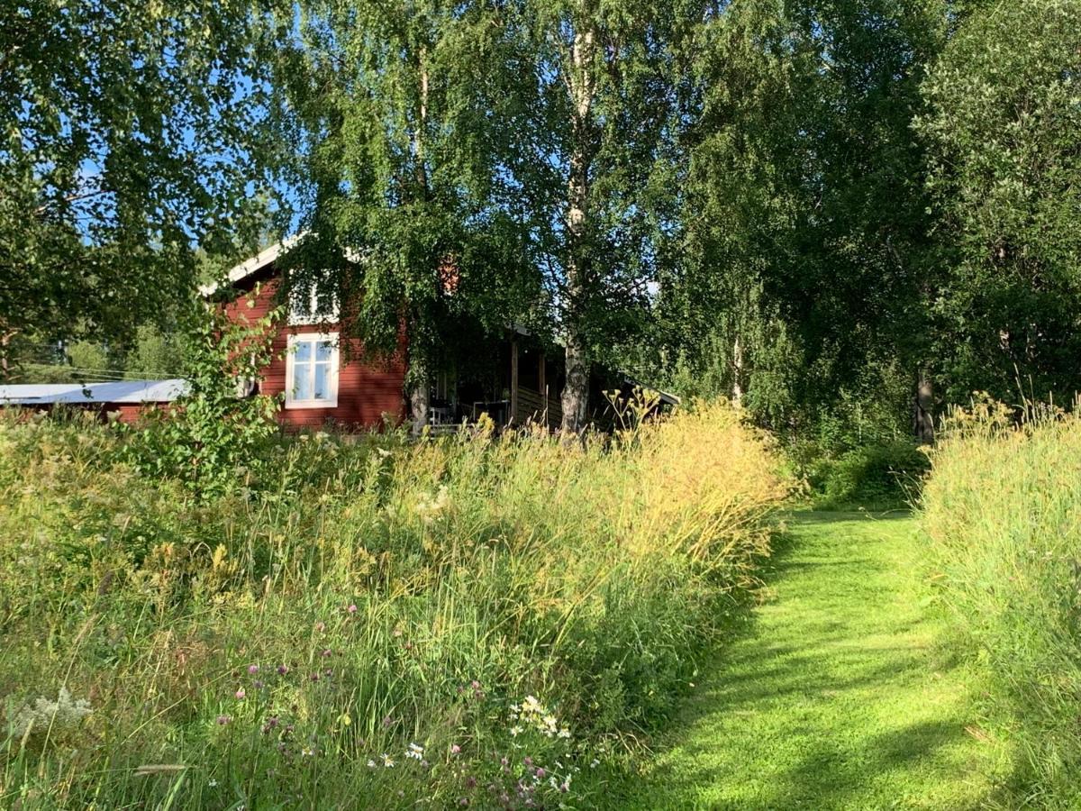 Bogaerdan, Cozy Cabin By The Lulea River Harads Eksteriør billede